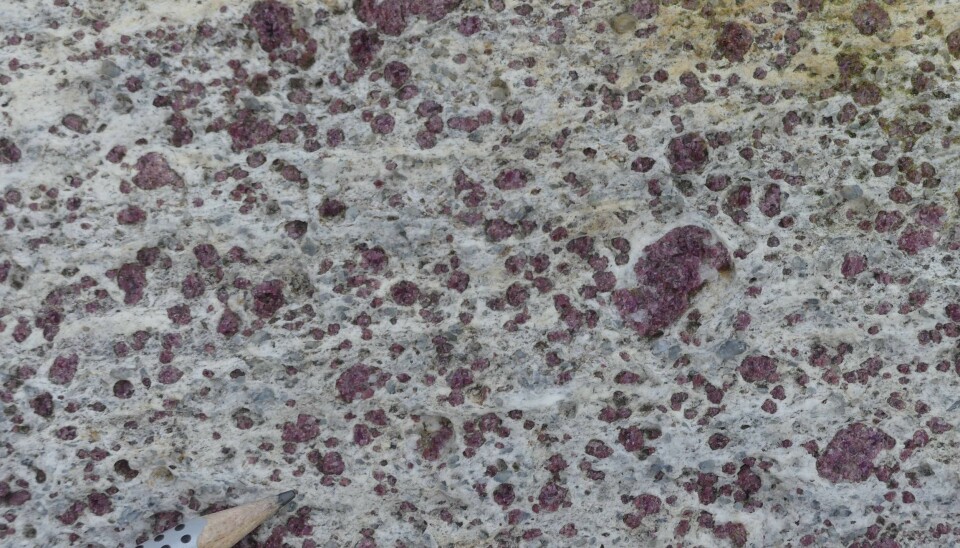 Vakker er den også – bergarten granat-gneis på Sunnmøre hvor forskerne har påvist mikrodiamanter. (Foto Ane K. Engvik)
