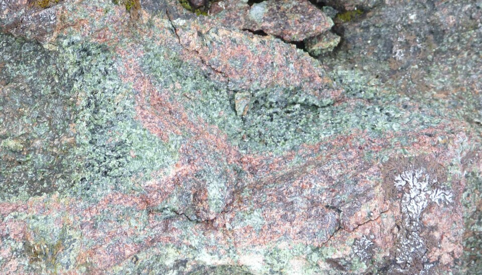 Sånn kan de også se ut – bergartene fra dypet av jordskorpa – og det er som bittesmå korn inne i det røde mineralet granat at de er funnet, de mikroskopiske diamantene. (Foto Ane K. Engvik)
