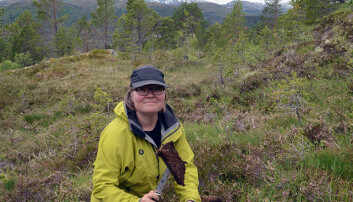 Her skjærer Malin Andersson av en del av humuslaget i toppen av en jordprofil. (Foto: Gudmund Løvø, NGU) Her skjærer Malin Andersson av en del av humuslaget i toppen av en jordprofil. (Foto: Gudmund Løvø, NGU)