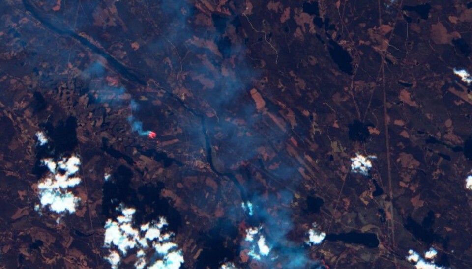 Skogbranner nordvest for Ljusdal i Sverige, sett fra Sentinel-2 mandag 16. juli. (Bilde: Copernicus Sentinel data 2018)