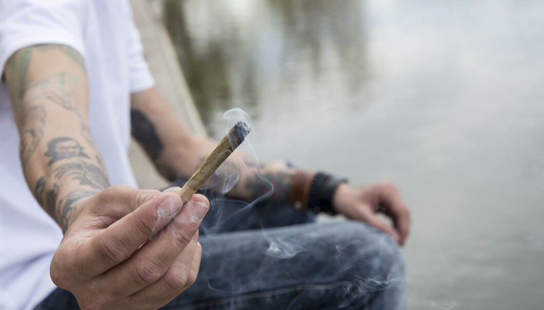 Ungdommer over hele landet har svart på spørsmål om sin cannabisbruk i undersøkelsen. (Foto: Mitch M, Shutterstock, NTB scanpix) Ungdommer over hele landet har svart på spørsmål om sin cannabisbruk i undersøkelsen. (Foto: Mitch M, Shutterstock, NTB scanpix)