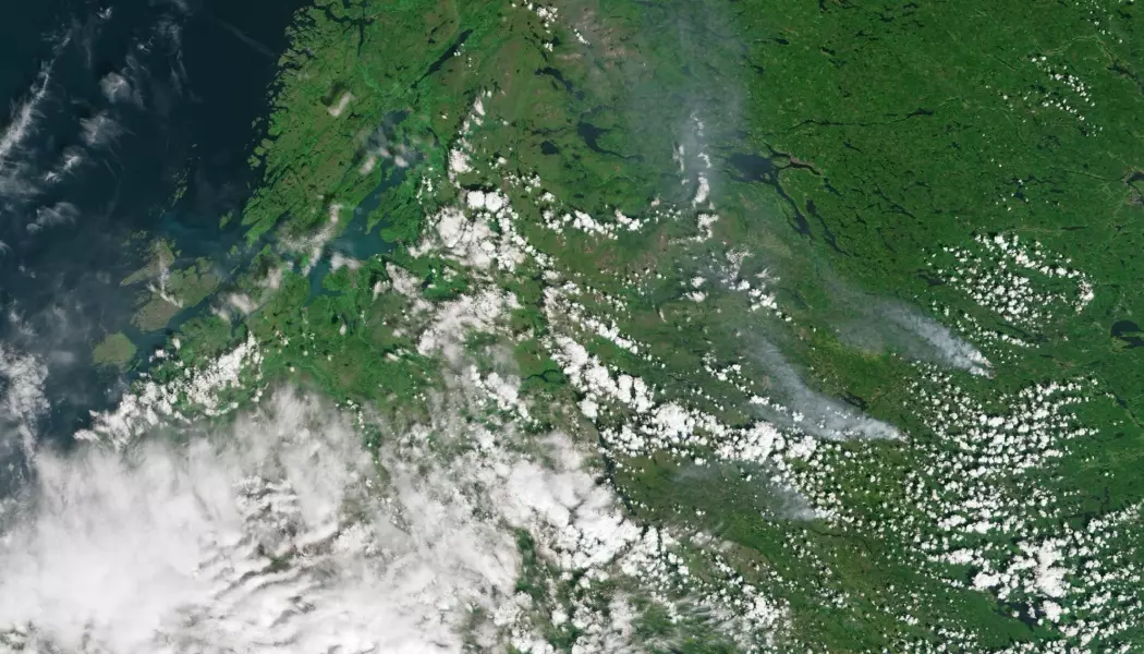 De svenske skogbrannene (til høyre i bildet) sett av satellitten Sentinel-3 17. juli i år. (Foto: Copernicus / ESA)