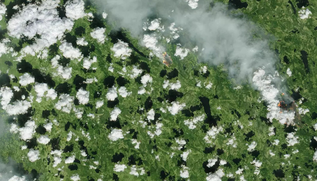 Skogbrannene i Sverige sett av satellitten Sentinel-2 den 17. juli 2018. Foto: Copernicus/ESA