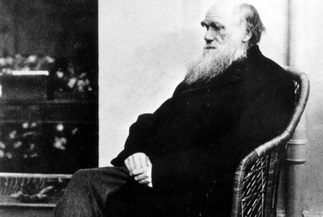 Selvsagt får geniale mennesker geniale ideer, og både Einstein og Darwin fortjener all den beundring de kan få – de utrettet store ting. Men de levde altså ikke i vakuum, de badet snarere i en elv av ideer. (Foto: AP, NTB Scanpix) Selvsagt får geniale mennesker geniale ideer, og både Einstein og Darwin fortjener all den beundring de kan få – de utrettet store ting. Men de levde altså ikke i vakuum, de badet snarere i en elv av ideer. (Foto: AP, NTB Scanpix)