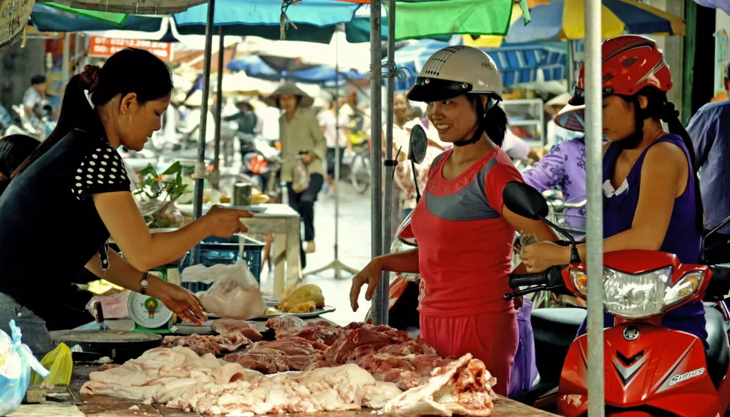 Den gjennomsnittlege vietnamesar et nå fire gonger meir enn ho gjorde for 30 år sidan. Her frå eit kjøtmarknad i Hung Yen-provinsen, Vietnam. (Illustrasjonsfoto: Nguyen Ngoc Huyen / ILRI / Flickr)