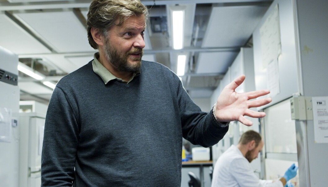 Steinar Madsen i Statens legemiddelverk opplyser at bruken av ibuprofen nå skal tas opp på europeisk toppnivå etter at en dansk undersøkelse konkluderer med at unge menn kan få et testosteronnivå som en 70-åring ved bruk av virkestoffet. (Arkivfoto: Berit Roald, NTB scanpix) Steinar Madsen i Statens legemiddelverk opplyser at bruken av ibuprofen nå skal tas opp på europeisk toppnivå etter at en dansk undersøkelse konkluderer med at unge menn kan få et testosteronnivå som en 70-åring ved bruk av virkestoffet. (Arkivfoto: Berit Roald, NTB scanpix)