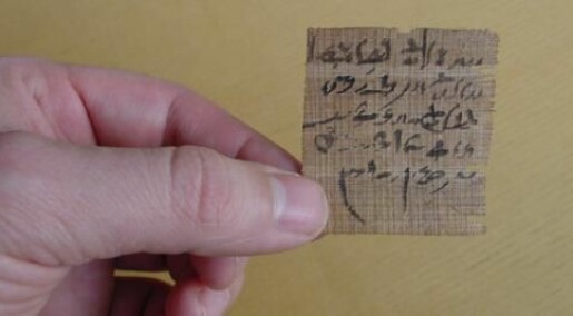 Nye funn i ukjente egyptiske papyrusmanuskripter