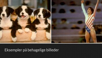 Her er to eksempler de positive bildene forsøkspersonene så mens de lå i hjerneskanneren. (Foto: K.W. Miskowiak et.al., 2018) Her er to eksempler de positive bildene forsøkspersonene så mens de lå i hjerneskanneren. (Foto: K.W. Miskowiak et.al., 2018)