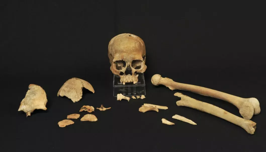 Steinalderknoklene fra Hummerviksholmen i Søgne ble funnet i 1994. I dag har vi endelig gode nok metoder til å analysere restene av DNA som finnes i beina.  (Foto: Beate Kjørslevik)