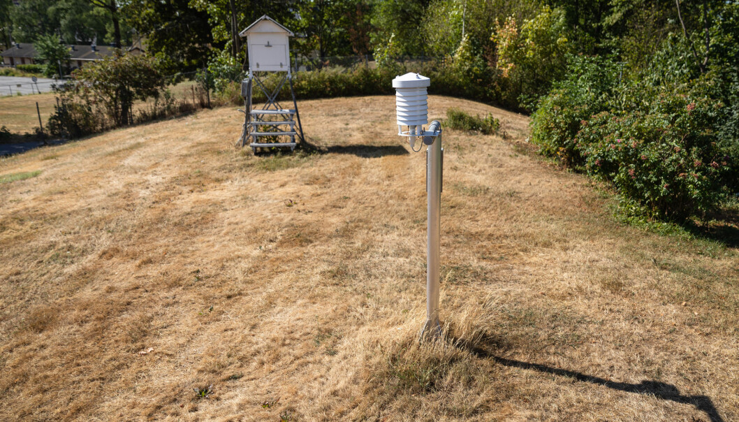 Den uvanlige sommervarmen og tørken har satt spor også hos Meteorologisk institutt i Oslo. Temperaturmålingene herfra er med i en fersk europeisk rapport om hetebølger. (Foto: Audun Braastad/NTB scanpix) Den uvanlige sommervarmen og tørken har satt spor også hos Meteorologisk institutt i Oslo. Temperaturmålingene herfra er med i en fersk europeisk rapport om hetebølger. (Foto: Audun Braastad/NTB scanpix)