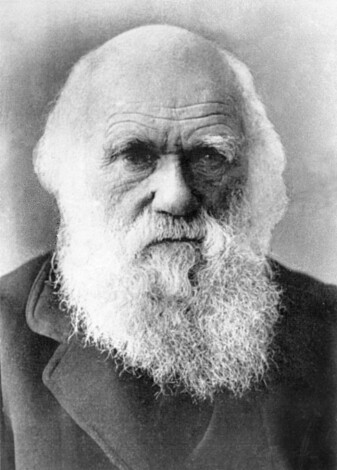 Charles Darwin. (Foto: Shutterstock / NTB Scanpix) Charles Darwin. (Foto: Shutterstock / NTB Scanpix)
