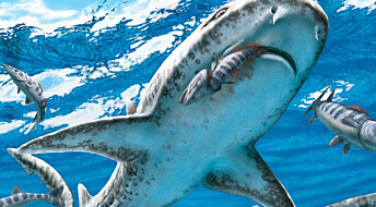Haien blomstret i skyggen av masseutryddelsen