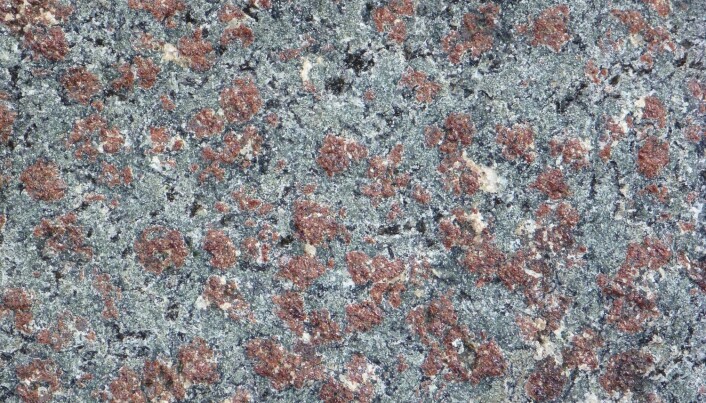 Eklogitt består av røde granat-mineraler og grønn pyroksen. Bergarten ble dannet dypt i jordskorpen under den kaledonske fjellkjededannelsen. (Foto: Ane K. Engvik) Eklogitt består av røde granat-mineraler og grønn pyroksen. Bergarten ble dannet dypt i jordskorpen under den kaledonske fjellkjededannelsen. (Foto: Ane K. Engvik)