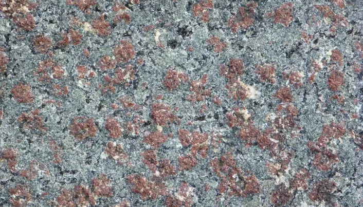 Eklogitt består av røde granat-mineraler og grønn pyroksen. Bergarten ble dannet dypt i jordskorpen under den kaledonske fjellkjededannelsen. (Foto: Ane K. Engvik)