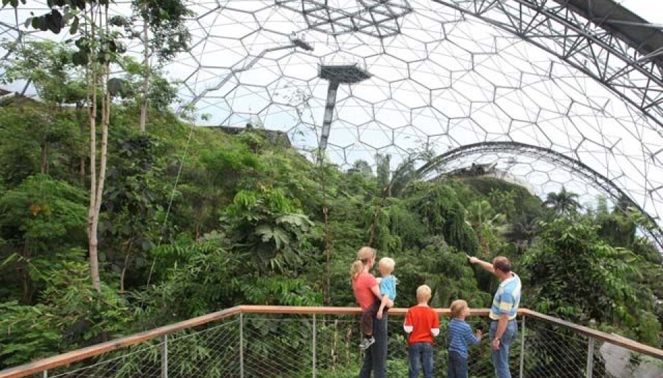 Veksthuset på Tøyen skal etter planen består av tre bobleformede bygg med ulike klimasoner. Eden Project i Cornwall (bildet) er en av inspirasjonskildene. (Foto: UiO)