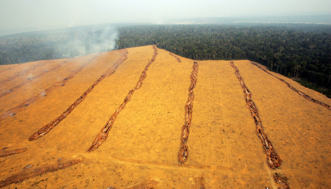 Dette bildet viser en åker i nærheten av byen Santarem opp mot regnskogen i Brasil. Bildet er fra 2004, og viser trenden i årene siden 1982. (Bilde: AP Photo/Victor R. Caivano/NTB Scanpix) Dette bildet viser en åker i nærheten av byen Santarem opp mot regnskogen i Brasil. Bildet er fra 2004, og viser trenden i årene siden 1982. (Bilde: AP Photo/Victor R. Caivano/NTB Scanpix)
