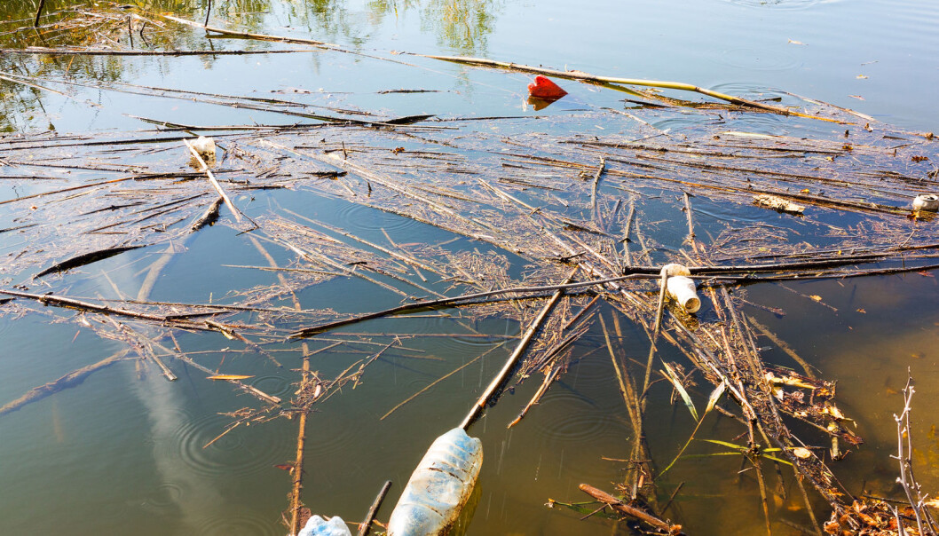 – Elver er fantastiske og komplekse økosystemer i seg selv. Vi bør være like oppmerksomme på plastforurensningens effekter her, påpeker forsker. (Illustrasjonsfoto: Shutterstock / NTB Scanpix) – Elver er fantastiske og komplekse økosystemer i seg selv. Vi bør være like oppmerksomme på plastforurensningens effekter her, påpeker forsker. (Illustrasjonsfoto: Shutterstock / NTB Scanpix)