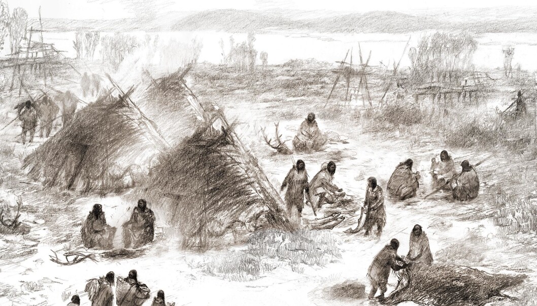 Slik kan det ha sett ut i Alaska for 12 000 år siden, ifølge en illustratør og forskerne. (bilde: Eric S. Carlson in collaboration with Ben Potter) Slik kan det ha sett ut i Alaska for 12 000 år siden, ifølge en illustratør og forskerne. (bilde: Eric S. Carlson in collaboration with Ben Potter)