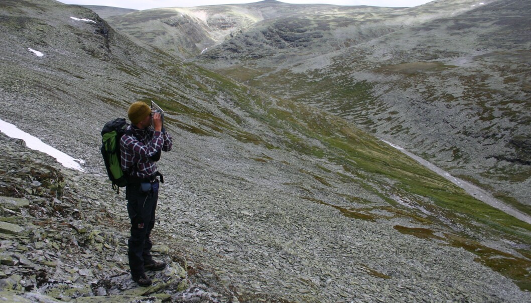 Anders Bryn kartlegg i Rondane. (Foto: Yngve Rekdal) Anders Bryn kartlegg i Rondane. (Foto: Yngve Rekdal)
