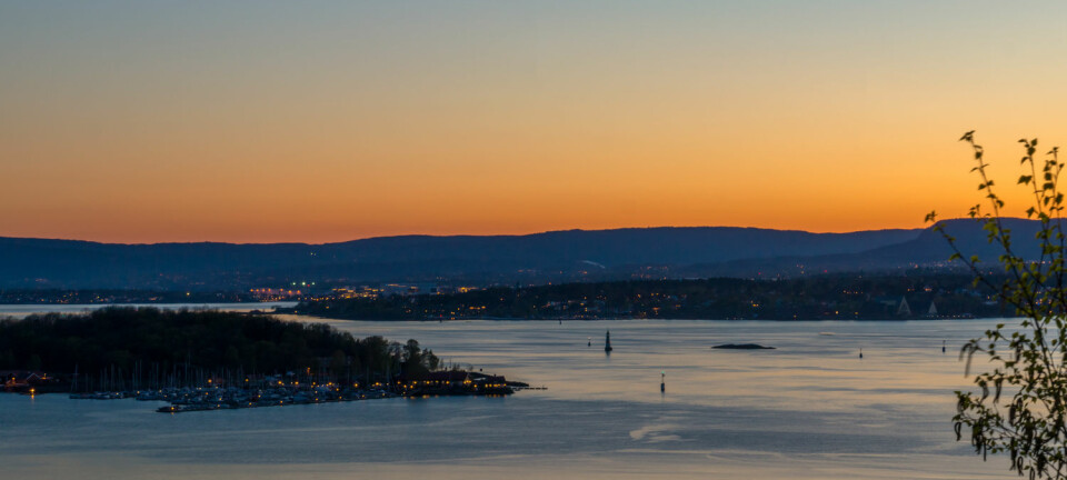 Livet i Oslofjorden blir påvirket av utslipp fra industri og jordbruk. Men hvordan er forholdene der nå? Er ting på bedringens vei? (Illustrasjonsfoto: Shutterstock / NTB Scanpix)