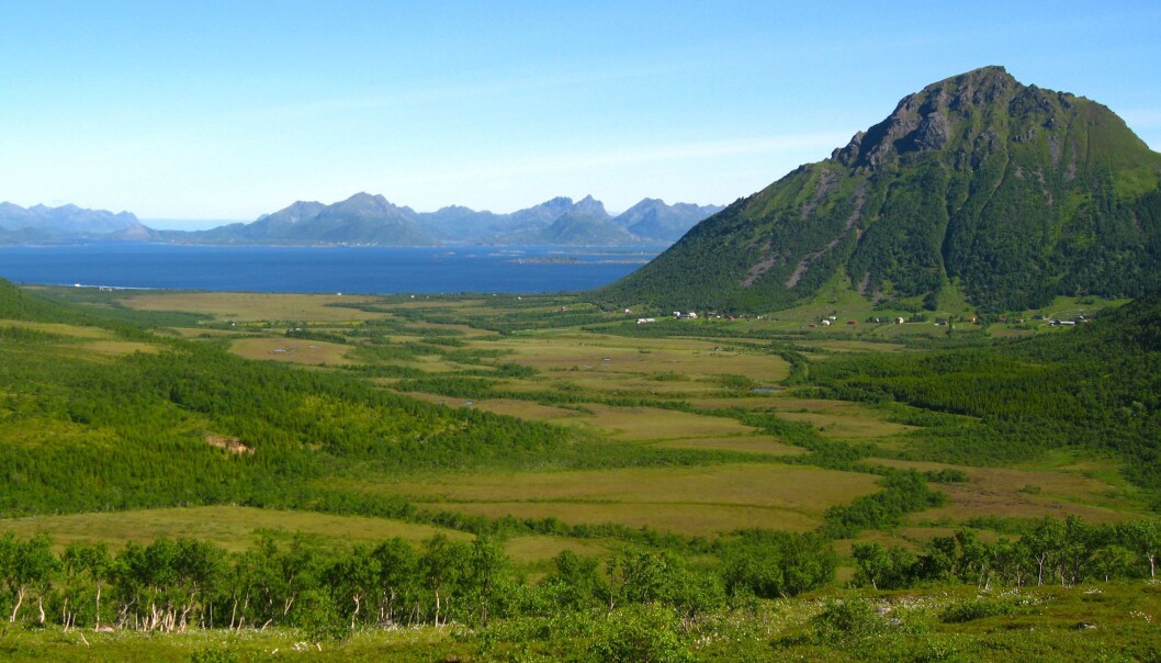 Myrområda i Breidvikdalen, Hadsel, i Nordland. Dei store myrkompleksa i Nord-Noreg bind enorme mengder med karbon som er bygd opp sidan siste istid. (Foto: Anders Bryn) Myrområda i Breidvikdalen, Hadsel, i Nordland. Dei store myrkompleksa i Nord-Noreg bind enorme mengder med karbon som er bygd opp sidan siste istid. (Foto: Anders Bryn)