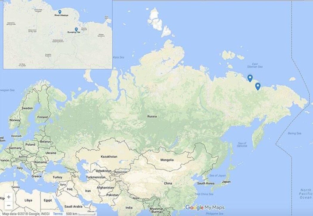 De to slektene av rundormer ble funnet to ulike steder i det nordøstlige Russland: Duvanny Yar og Alazeya-elven, som er markert på dette kartet. (Google Maps) De to slektene av rundormer ble funnet to ulike steder i det nordøstlige Russland: Duvanny Yar og Alazeya-elven, som er markert på dette kartet. (Google Maps)
