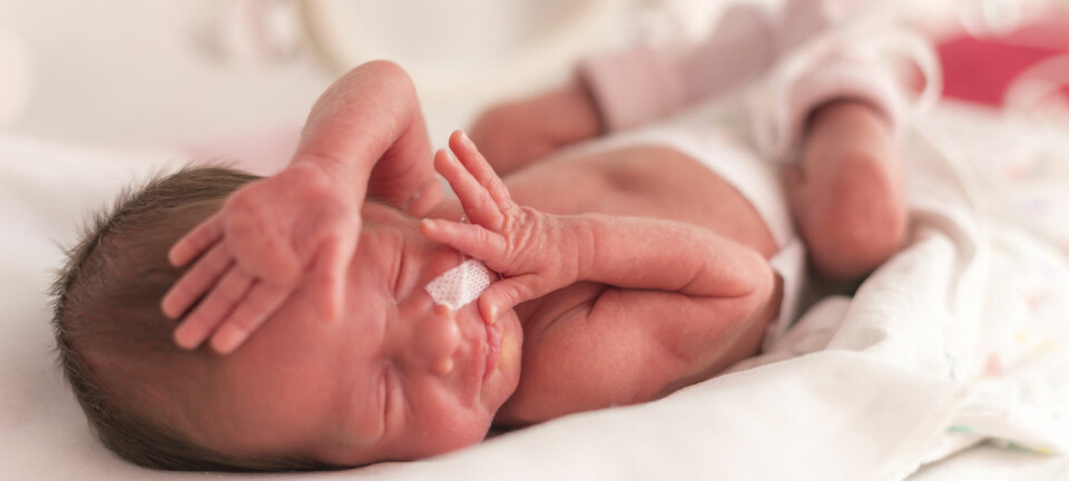 Kan barn som blir født for tidlig, bli sunnere av råmelk?  (Foto: OndroM / Shutterstock / NTB scanpix)
