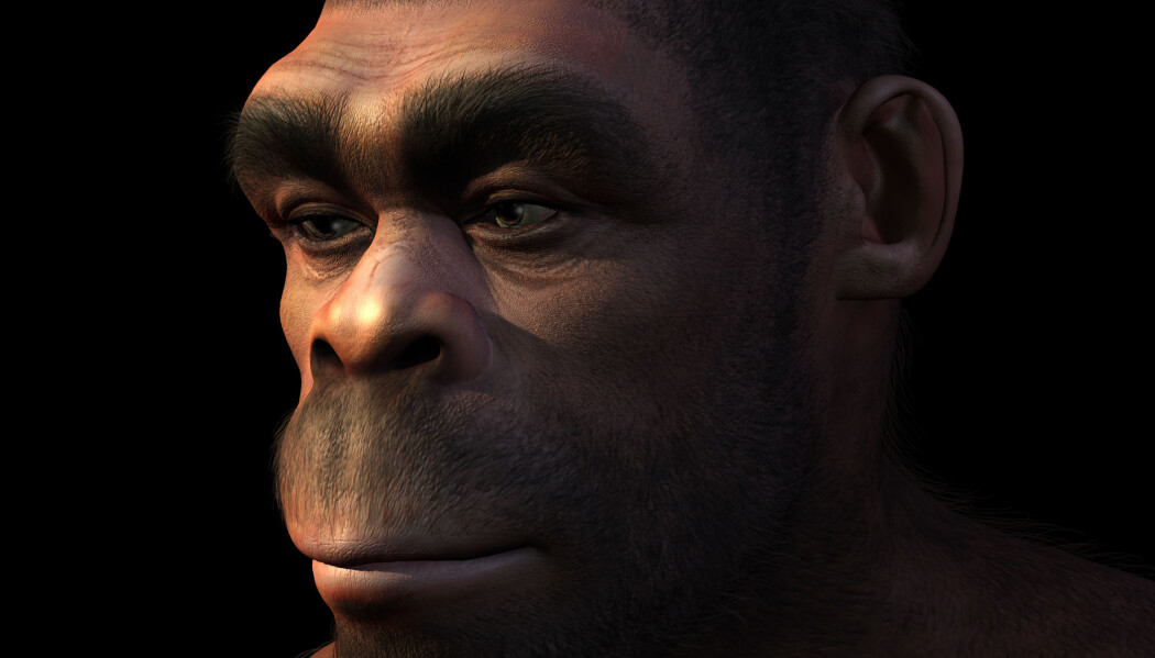 Homo erectus var suksessrike i lang tid, men de utviklet seg for lite til at de klarte seg i nye omgivelser. (Foto: Linda Bucklin / Shutterstock / NTB scanpix) Homo erectus var suksessrike i lang tid, men de utviklet seg for lite til at de klarte seg i nye omgivelser. (Foto: Linda Bucklin / Shutterstock / NTB scanpix)