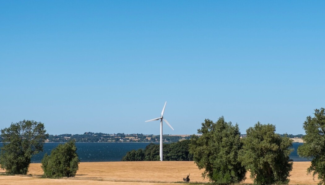 – Trærne er mer utsatt for å få skader eller dø i år enn hva vi noensinne tidligere har registrert, sier dansk forsker. (Foto: miquelito, Shutterstock, NTB scanpix) – Trærne er mer utsatt for å få skader eller dø i år enn hva vi noensinne tidligere har registrert, sier dansk forsker. (Foto: miquelito, Shutterstock, NTB scanpix)