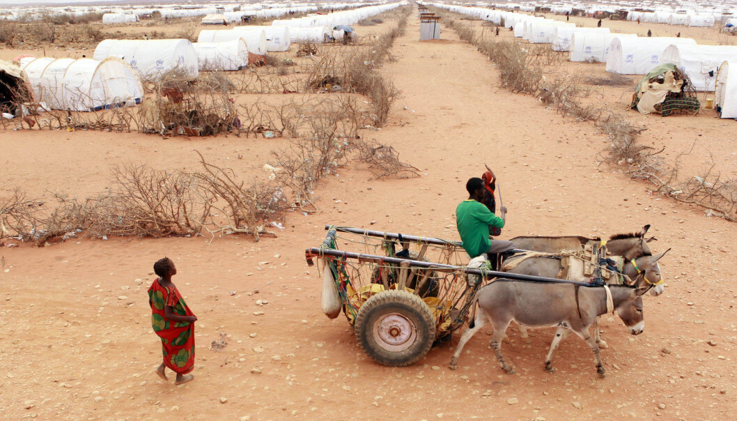 Når tørken rammer, må mange dra fra hjemmene sine. Som denne somalieren i en flyktningleir i Etiopia under sultkatastrofen i 2011. (Foto: Thomas Mukoya/Reuters/NTB scanpix) Når tørken rammer, må mange dra fra hjemmene sine. Som denne somalieren i en flyktningleir i Etiopia under sultkatastrofen i 2011. (Foto: Thomas Mukoya/Reuters/NTB scanpix)