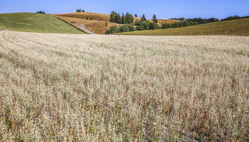 Folk flest mener klimaendringene er en realitet og at menneskene bidrar til problemet. Mange mener også de personlig har erfart klimanderingene skjer. (Illustrasjonsfoto: Halvard Alvik, NTB scanpix) Folk flest mener klimaendringene er en realitet og at menneskene bidrar til problemet. Mange mener også de personlig har erfart klimanderingene skjer. (Illustrasjonsfoto: Halvard Alvik, NTB scanpix)