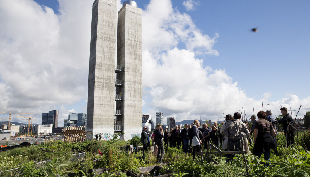 Parsellhagene i Losæter over Operatunnelen i Oslo er et godt eksempel på hvordan urbant landbruk har slått rot i Oslo. (Foto: Håkon Mosvold Larsen / NTB scanpix) Parsellhagene i Losæter over Operatunnelen i Oslo er et godt eksempel på hvordan urbant landbruk har slått rot i Oslo. (Foto: Håkon Mosvold Larsen / NTB scanpix)