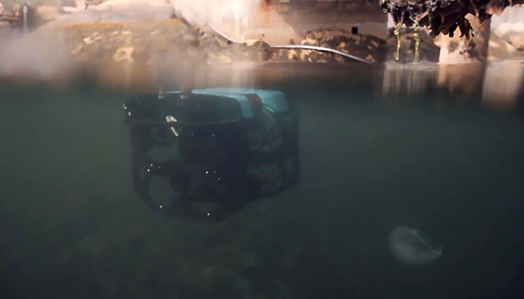 De førerløse fartøyene kan utstyres med kamera, sonar og ulike sensorer for måling av for eksempel saltinnhold, strøm og temperatur. Enkelte fartøy kan også utstyres med robotarmer. Her fra testene som ble gjort i Trondheimsfjorden. (Foto: TYD) De førerløse fartøyene kan utstyres med kamera, sonar og ulike sensorer for måling av for eksempel saltinnhold, strøm og temperatur. Enkelte fartøy kan også utstyres med robotarmer. Her fra testene som ble gjort i Trondheimsfjorden. (Foto: TYD)