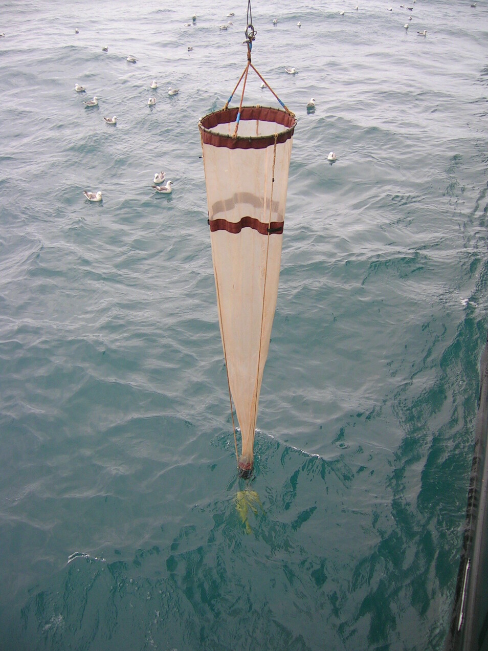 Forskerne bruker en håv av typen WP2 for å samle plankton. (Arkivfoto: Jostein Røttingen / Havforskningsinstituttet)
