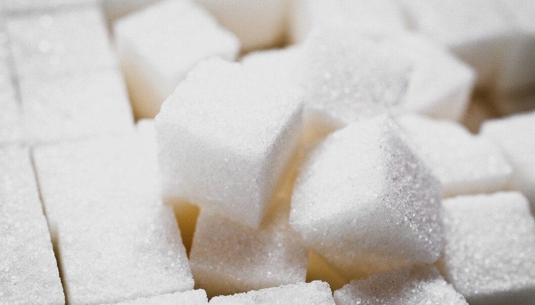 Det kan kanskje være en god idé å spise en fettholdig diett hvis man vil slippe noen av de giftstoffene som kroppens sukkerforbrenning danner. (Foto: Photo_for_You, Shutterstock, NTB scanpix) Det kan kanskje være en god idé å spise en fettholdig diett hvis man vil slippe noen av de giftstoffene som kroppens sukkerforbrenning danner. (Foto: Photo_for_You, Shutterstock, NTB scanpix)