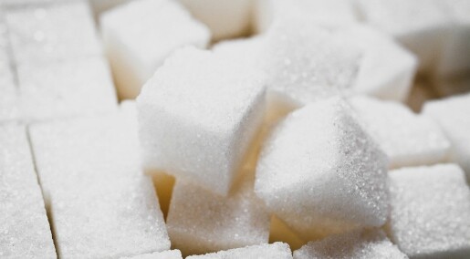 Fettforbrenning kan beskytte kroppen mot gift fra sukker