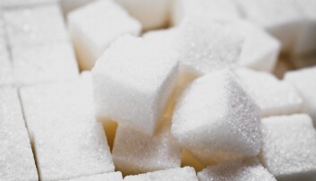 Ekstrem lavkarbo Ekstrem lavkarbo