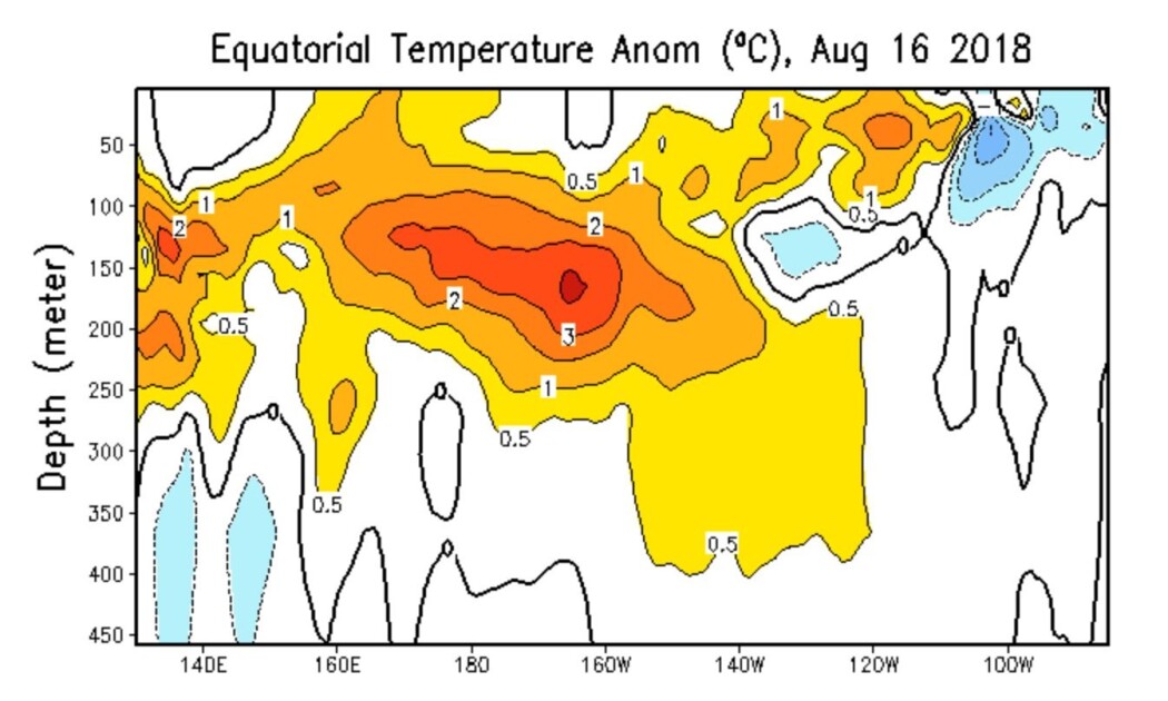 Figur 3:
Mye varmt vann 150 meter under overflaten midt i Stillehavet nå, og denne anomalien er på vei østover. (Bilde: NOAA) Figur 3:
Mye varmt vann 150 meter under overflaten midt i Stillehavet nå, og denne anomalien er på vei østover. (Bilde: NOAA)