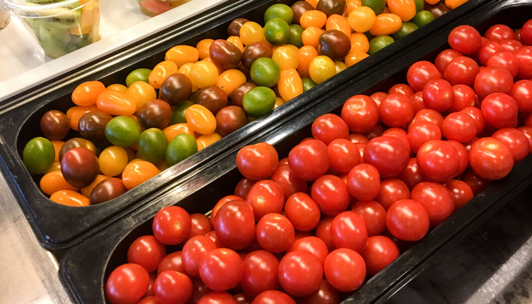 Er det mer fristende å spise mangefargede cherrytomater enn bare røde tomater? Det var bare noe av det forskerne forsøkte å finne ut. (Foto: Jorunn S. Hansen / Nofima) Er det mer fristende å spise mangefargede cherrytomater enn bare røde tomater? Det var bare noe av det forskerne forsøkte å finne ut. (Foto: Jorunn S. Hansen / Nofima)