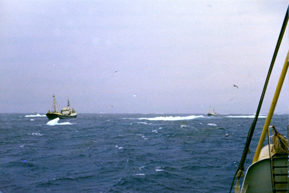 Både i 1970 og i 1971 var flere skip med på hvaltoktet utenfor Labrador. Her er «M/S Tornado» og «M/S Riston» fotografert av Åsmund Bjordal sommeren 1970. (Foto: Åsmund Bjordal)