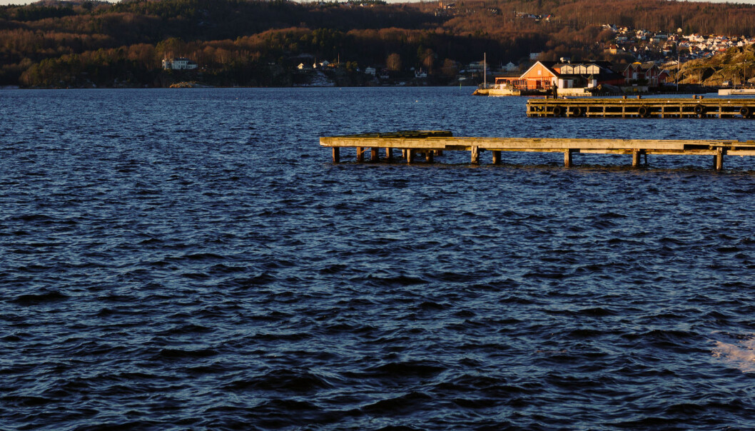 Kanskje blir torsken på Sørlandet fisket før den har rukket å gyte. (Foto: Shutterstock / NTB Scanpix) Kanskje blir torsken på Sørlandet fisket før den har rukket å gyte. (Foto: Shutterstock / NTB Scanpix)