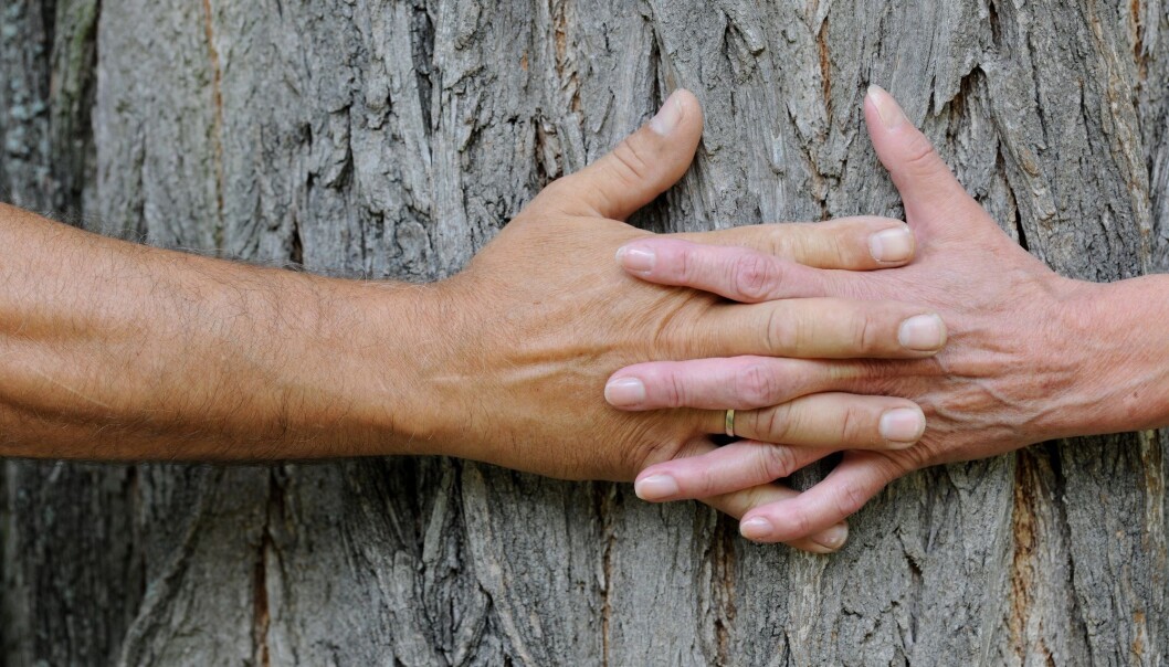 Det er viktig for aktivt religiøse personer å finne en partner med samme tro. (Foto: Frank May / NTB scanpix) Det er viktig for aktivt religiøse personer å finne en partner med samme tro. (Foto: Frank May / NTB scanpix)