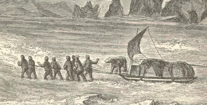 Blodtørstig julebjørn herjet i arktisk litteratur