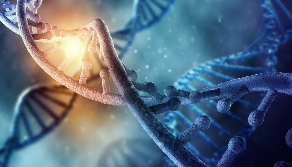 Siden genet for sykdommen ble oppdaget i 1993, så har det vært spekulert om genet på en eller annen måte kan bli «slått av».  (Foto: ESB Professional, Shutterstock, NTB scanpix)