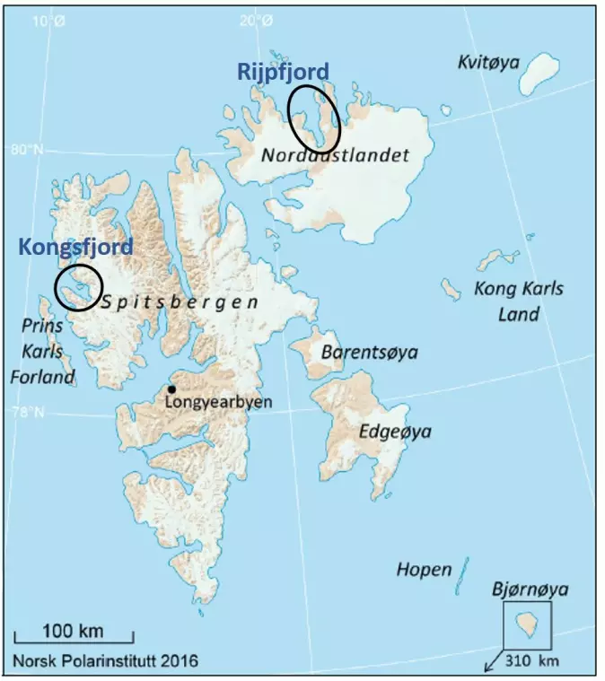 De to områdene som skal kartlegges av Mareano på dette toktet er markert med sorte sirkler. Kongsfjorden er det sørligste området og Rijpfjord er det nordligste. (Kilde: Norsk polarinstitutt)