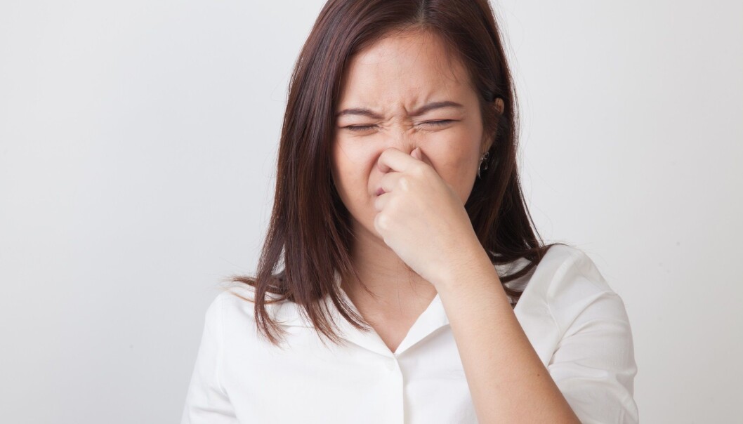 Er du den eneste som kjenner at det stinker? Vesentlig flere kvinner enn menn opplever fantomlukter. (Foto: Halfbottle / Shutterstock / NTB scanpix) Er du den eneste som kjenner at det stinker? Vesentlig flere kvinner enn menn opplever fantomlukter. (Foto: Halfbottle / Shutterstock / NTB scanpix)