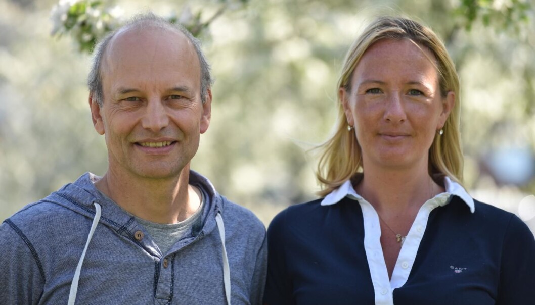Universitetet i Uppsala slår fast at professor Peter Eklöv og Oona Lönnstedt har vært vitenskapelig uredelige i forbindelse med en studie om hvordan mikroplast påvirker abboryngel. (Foto: Kristin Scharnwebber / Uppsala universitet) Universitetet i Uppsala slår fast at professor Peter Eklöv og Oona Lönnstedt har vært vitenskapelig uredelige i forbindelse med en studie om hvordan mikroplast påvirker abboryngel. (Foto: Kristin Scharnwebber / Uppsala universitet)