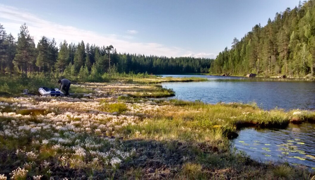 Mange innsjøer som dette i Norge, Sverige, Finland og flere andre steder i verden er blitt brunere de siste årene. (Foto fra forskningsartikkelen) Mange innsjøer som dette i Norge, Sverige, Finland og flere andre steder i verden er blitt brunere de siste årene. (Foto fra forskningsartikkelen)