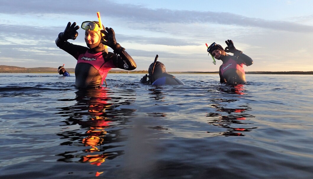 Snorkling i Barentshavet er litt skummelt når du ikke har gjort det før. (Foto: NIBIO) Snorkling i Barentshavet er litt skummelt når du ikke har gjort det før. (Foto: NIBIO)