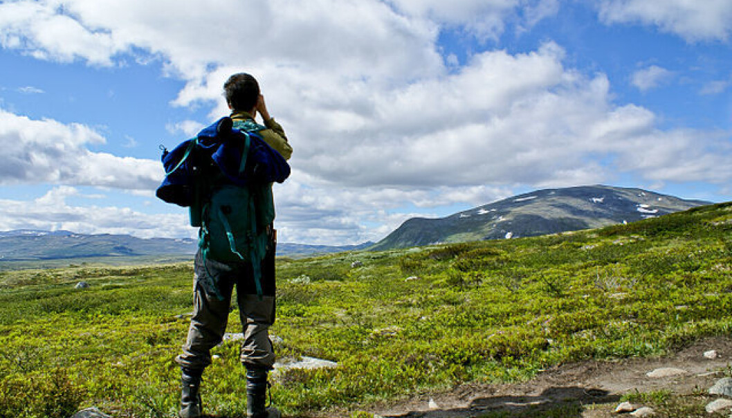 Menn innehar de viktigste posisjonene når spørsmål om naturvern og arealforvaltning skal avgjøres, ifølge ny doktorgrad. Her er en mann på tur i Dovrefjell-Sunndalsfjella Nasjonalpark. (Foto: GuoJunjun/Wikimedia Commons) Menn innehar de viktigste posisjonene når spørsmål om naturvern og arealforvaltning skal avgjøres, ifølge ny doktorgrad. Her er en mann på tur i Dovrefjell-Sunndalsfjella Nasjonalpark. (Foto: GuoJunjun/Wikimedia Commons)